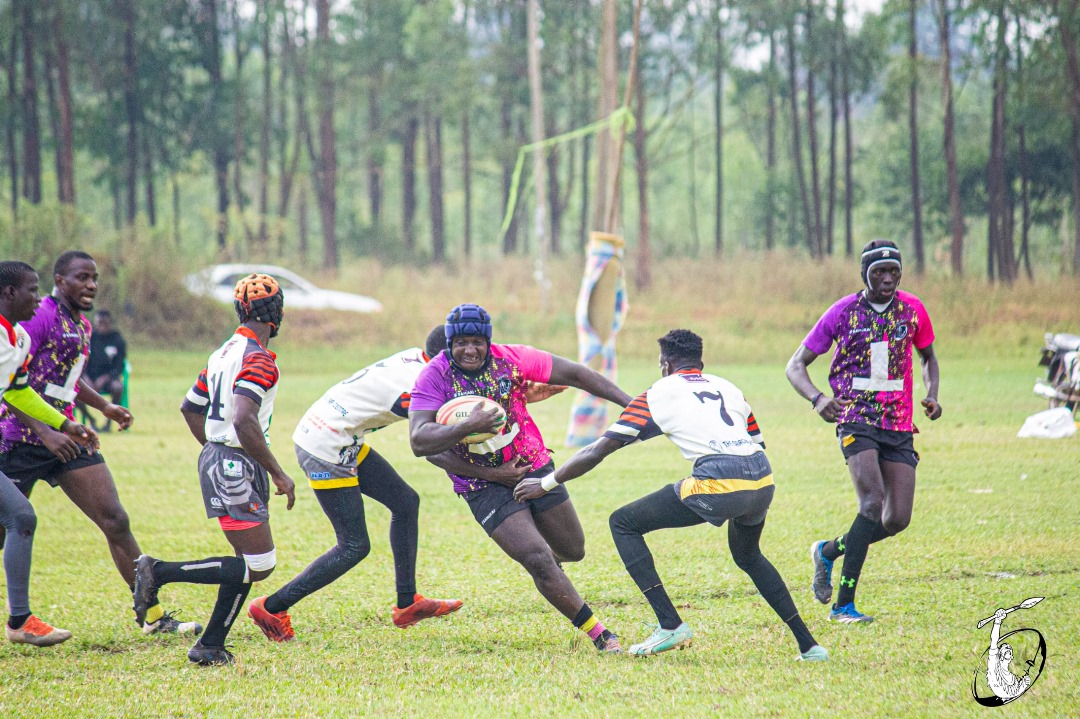 Warriors Rugby tweet media
