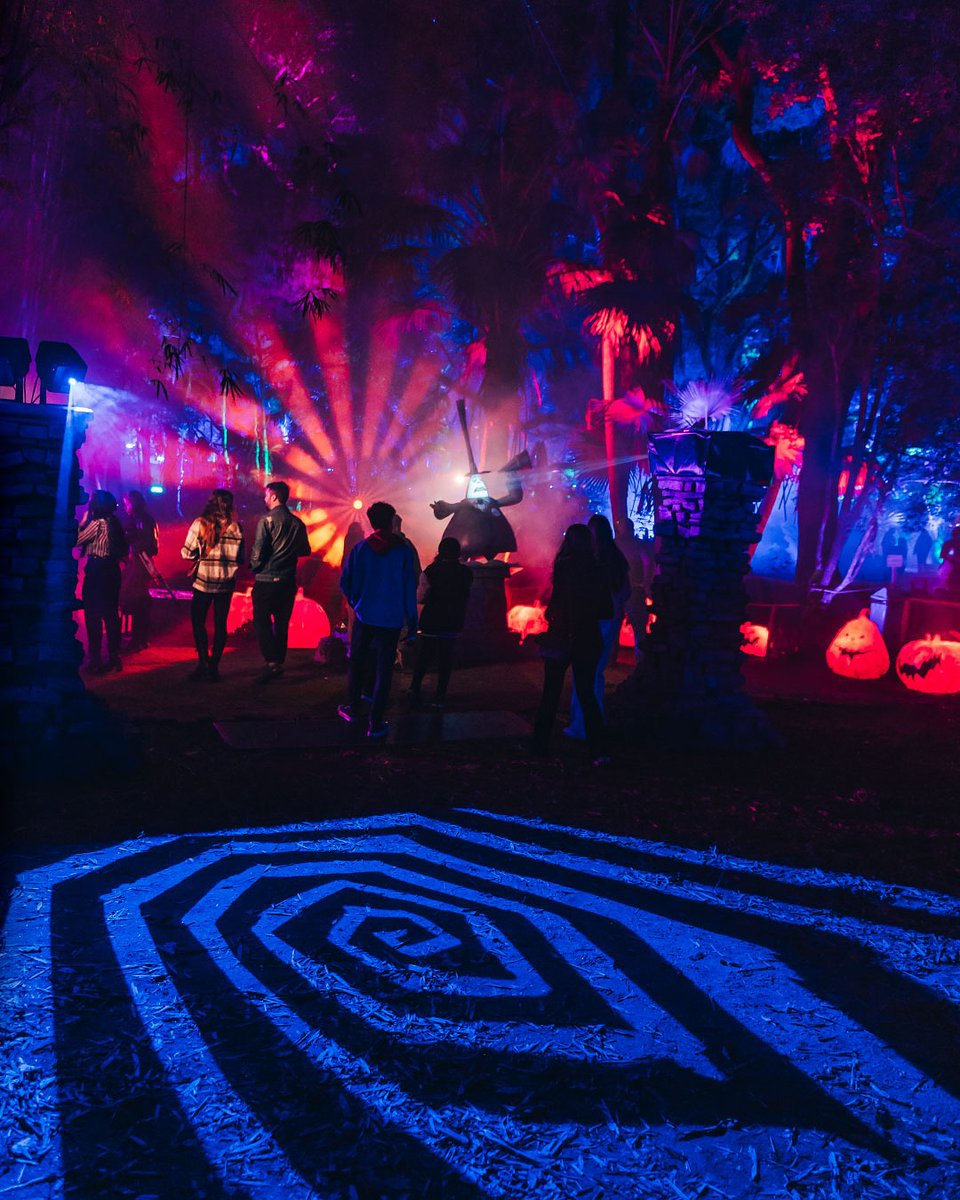 John-Carlos Estrada 🎙️ tweet media