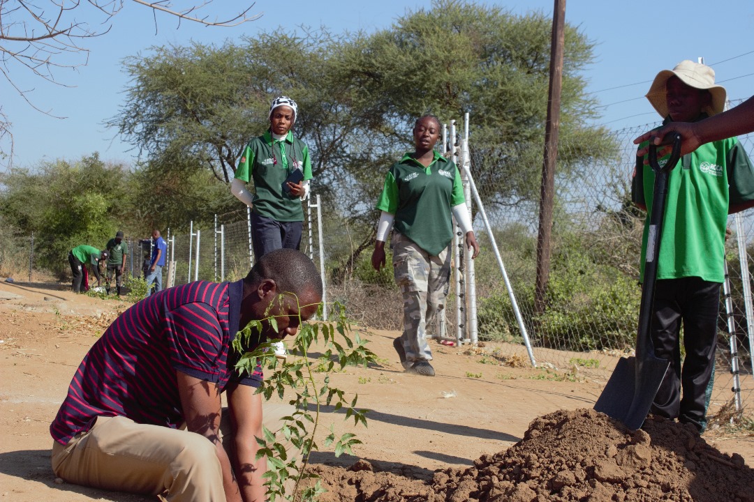 "When we plant trees, we plant the seeds of peace and hope" – Wangari Maathai

Today, at the Tongogara Refugee Settlement Offices, the busiest service provider offices, <a href="/RCCA_Youth/">Refugee Coalition for Climate Action (RCCA)</a> planted seven neem trees and six Kenyan Crotone trees, adding to the existing trees we planted last