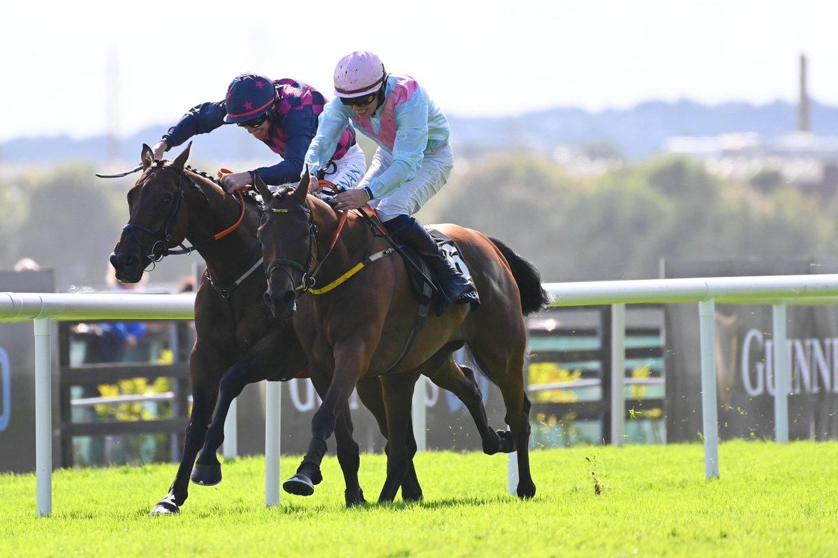 The Irish Field (@theirishfield) on Twitter photo 🚨 BREAKING: An appeals body has dismissed Noel Meade's appeal against Helvic Dream's demotion from the 2025 Galway Hurdle. Ndaawi remains the winner.
More to follow soon on theirishfield.ie and in this weekend's paper. 🚨 BREAKING: An appeals body has dismissed Noel Meade's appeal against Helvic Dream's demotion from the 2025 Galway Hurdle. Ndaawi remains the winner.
More to follow soon on theirishfield.ie and in this weekend's paper.