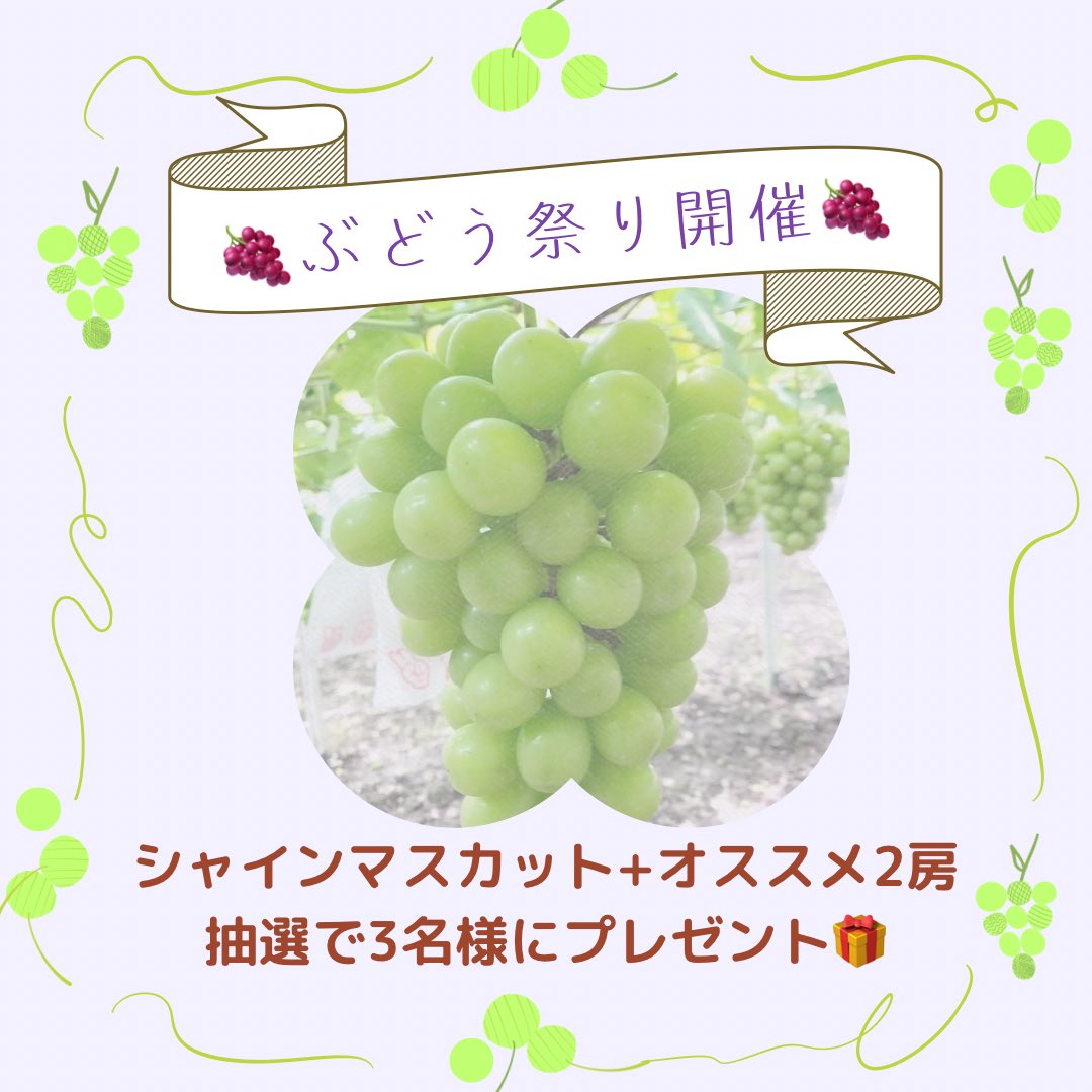 k_horizon_0828's tweet photo. 🍇ぶどう祭り開催🍇

シャインマスカット+オススメ2房
抽選で"３名"の方にプレゼント

【応募条件】
①@k_horizon_0828 をフォロー
②このポストをいいね&amp;リポスト(引用リポストめっちゃ嬉しい)
③ぶどう🍇が欲しいとリプを入れてください。

開催期間
2025.8.14(木)0:00〜8.17(日)23:59

#ぶどう祭り https://t.co/QkfIK2SQwQ