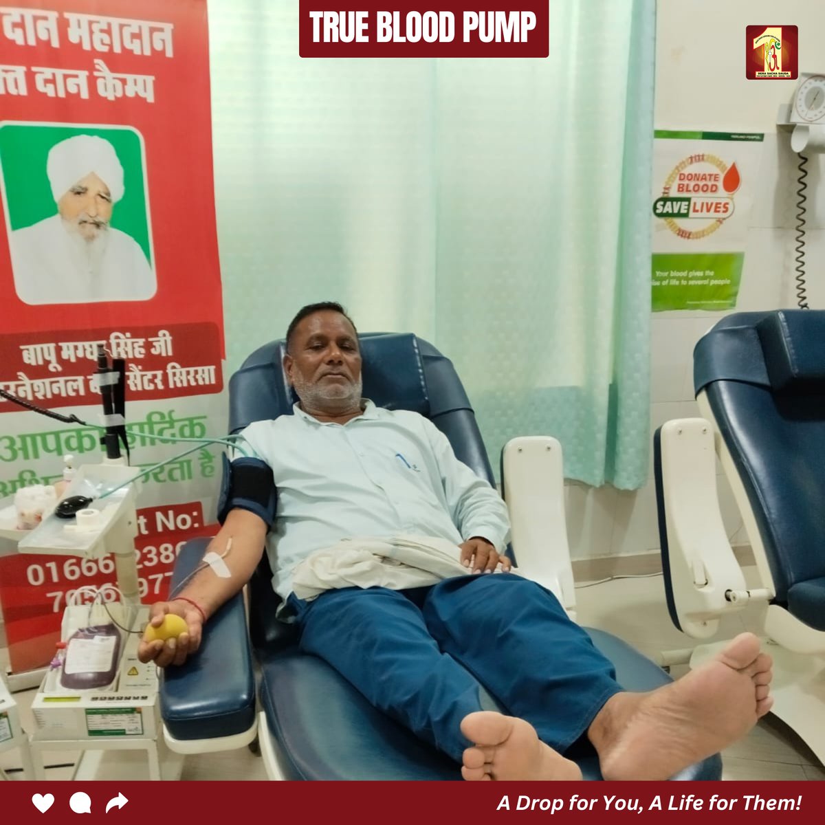 DSSNewsUpdates's tweet photo. In Kaithal, volunteers honoured a beloved’s memory by planting a fruitful tree on their ashes and donating blood. The tree will nourish the earth for years to come, while the blood will support patients in need — a true blend of care for nature and humanity.

#DeraSachaSauda #SaintMSG #BloodDonation #TreePlantation #GreenEarth #LifeBeyondLife #Kaithal #GurmeetRamRahim