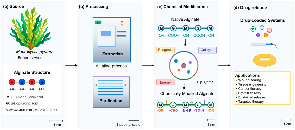#OpenAccess #Review

Chemically Modified Alginate-Based Hydrogel-Matrices in Drug Delivery

 Authors: Angélica Román-Guerrero et al  

Full Article: mdpi.com/2673-6209/5/3/…

#alginate #hydrogels