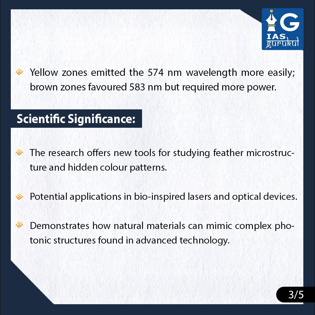iasgurukul's tweet image. A new study reveals that peacock feathers, when soaked in rhodamine 6G dye, can act like tiny lasers by bouncing light back and forth inside their microstructures before emitting it.

#PeacockResearch #LaserPhysics #BioOptics #IASGurukul