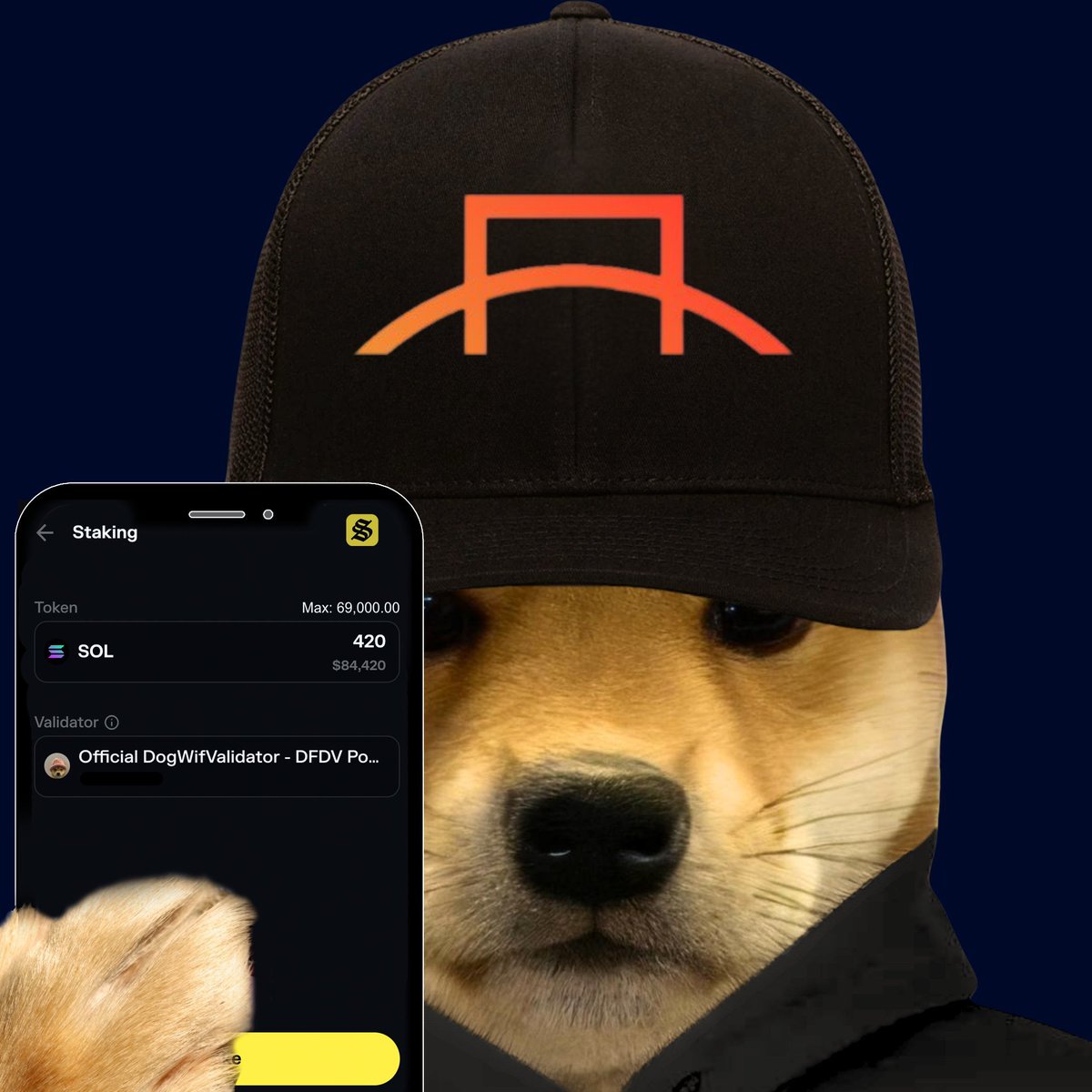 DogWifHat SOL 质押 validator 界面与可爱狗狗梗图