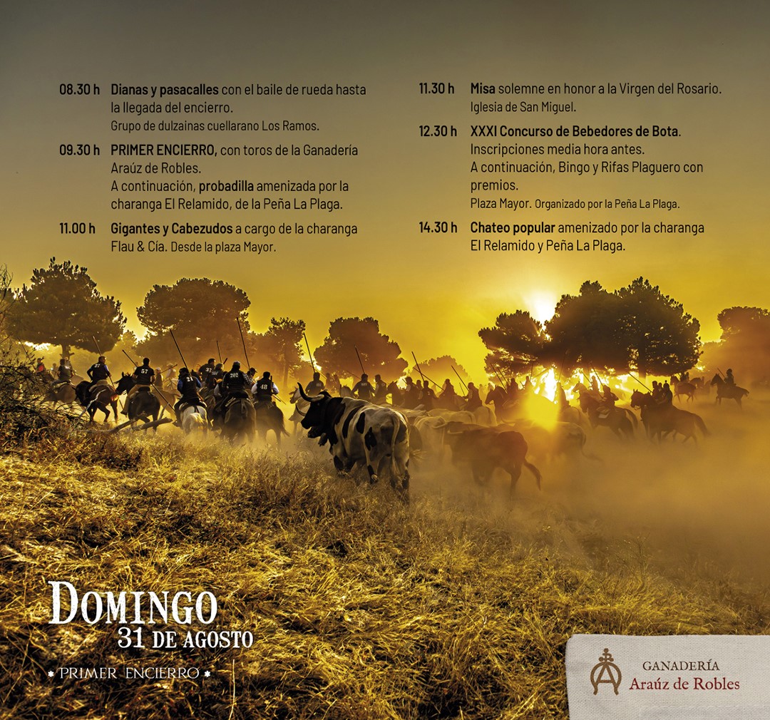 aleacuellar's tweet photo. Las fiestas de #Cuéllar llegan y los cuellaranos ya pueden acercarse en los medios  (@escuellar_es) a su programación y mañana comenzarán a recibir en sus casas el Programa Oficial 2025. El @aytocuellar ha confiado en nosotros su diseño y este es parte del resultado👇 https://t.co/rLLNFU2fal