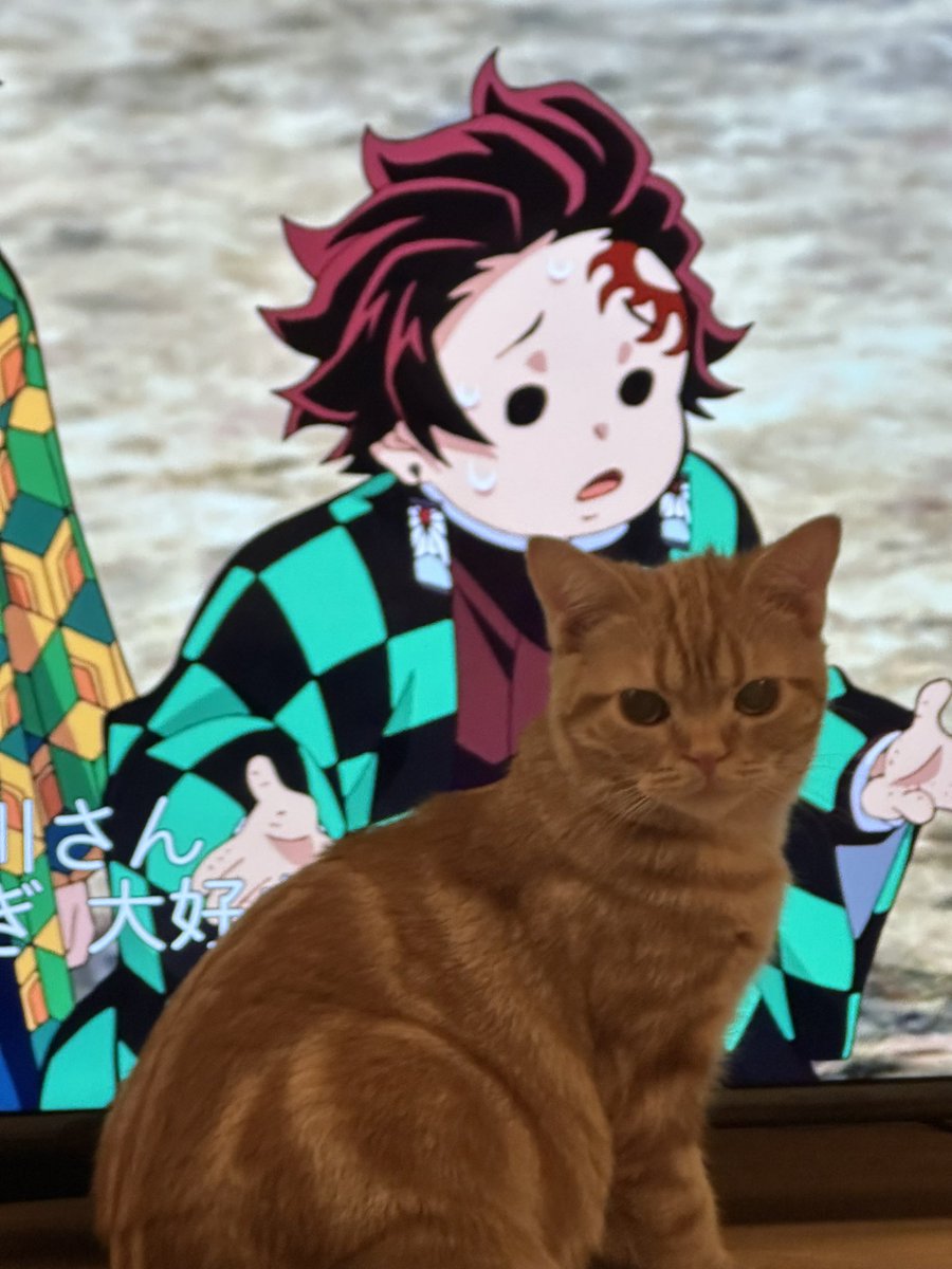 pintosub's tweet photo. 凍ったコーラうめぇ https://t.co/KrgBQtDS4x