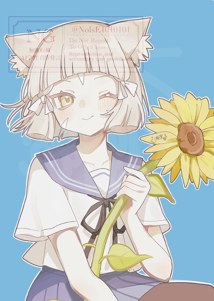 ニャンともちぐらよこ穴 Amazon | ペッツルート (Petz Route) ニャンともおおきなねこ穴