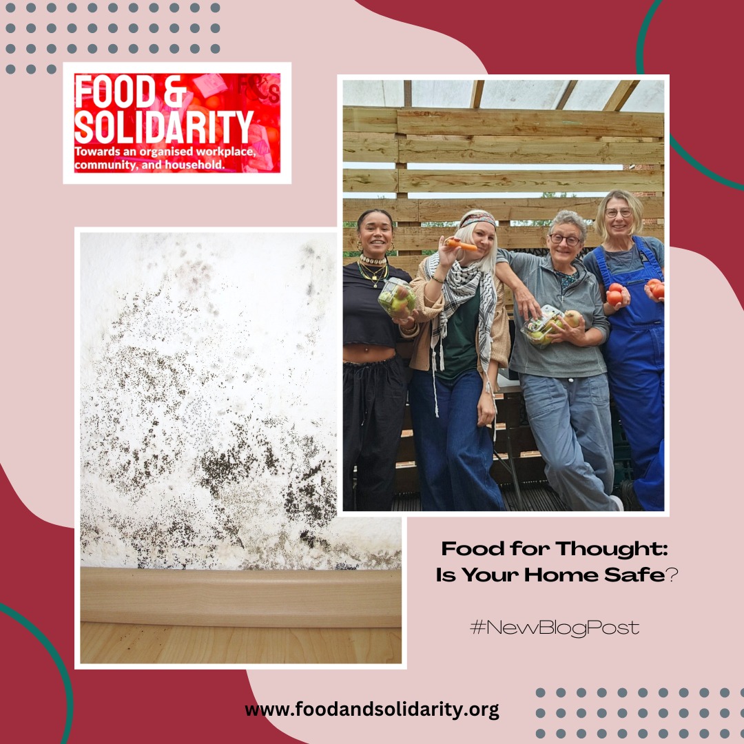 Food & Solidarity tweet media