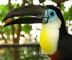 FNotian10384's tweet photo. @toonie_tuesday @CanadianKobzar @FellaSam79 @20gimsack @Cydsinc @HaraldThorvald1 @JohnLiniger @JolokiaTheSpicy @barbiefella1 Squawk squawk
Hi folks #Twoday #ToonieTwocan wants to remind you its Orthodox #ToonieTuesday aka #TwoonieTuesday and asks if #YouCan send your #Toonies and #twoonies like a #Twocan can so Arkan can get some drones.
Please get #two it, never #twomany or #twofew https://t.co/wzUlR4kBQd