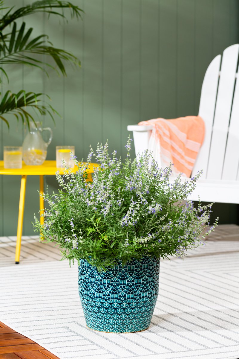 MetrolinaGreenhouses tweet media