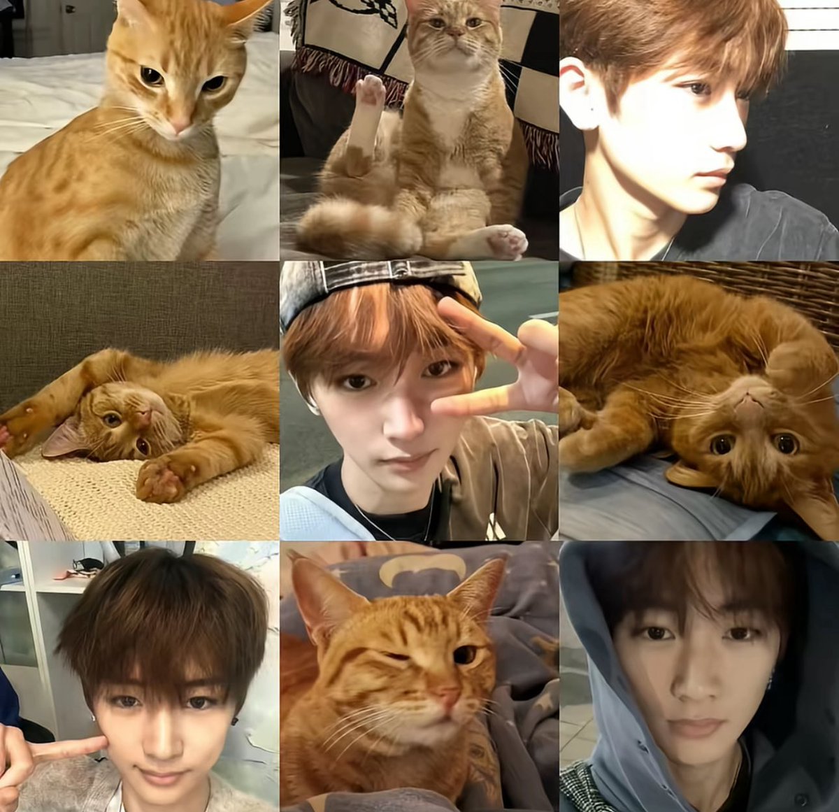 chaede_kor's tweet photo. 이상원 최립우 조우안신 정상현
🐹🐰🐱🐶 https://t.co/wPGPYE3ncC
