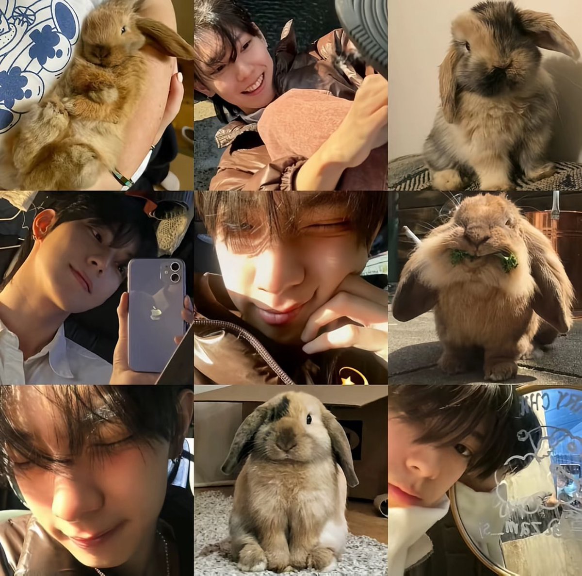 chaede_kor's tweet photo. 이상원 최립우 조우안신 정상현
🐹🐰🐱🐶 https://t.co/wPGPYE3ncC