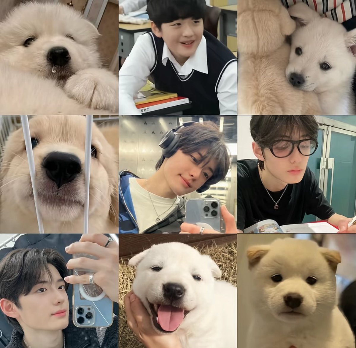 chaede_kor's tweet photo. 이상원 최립우 조우안신 정상현
🐹🐰🐱🐶 https://t.co/wPGPYE3ncC