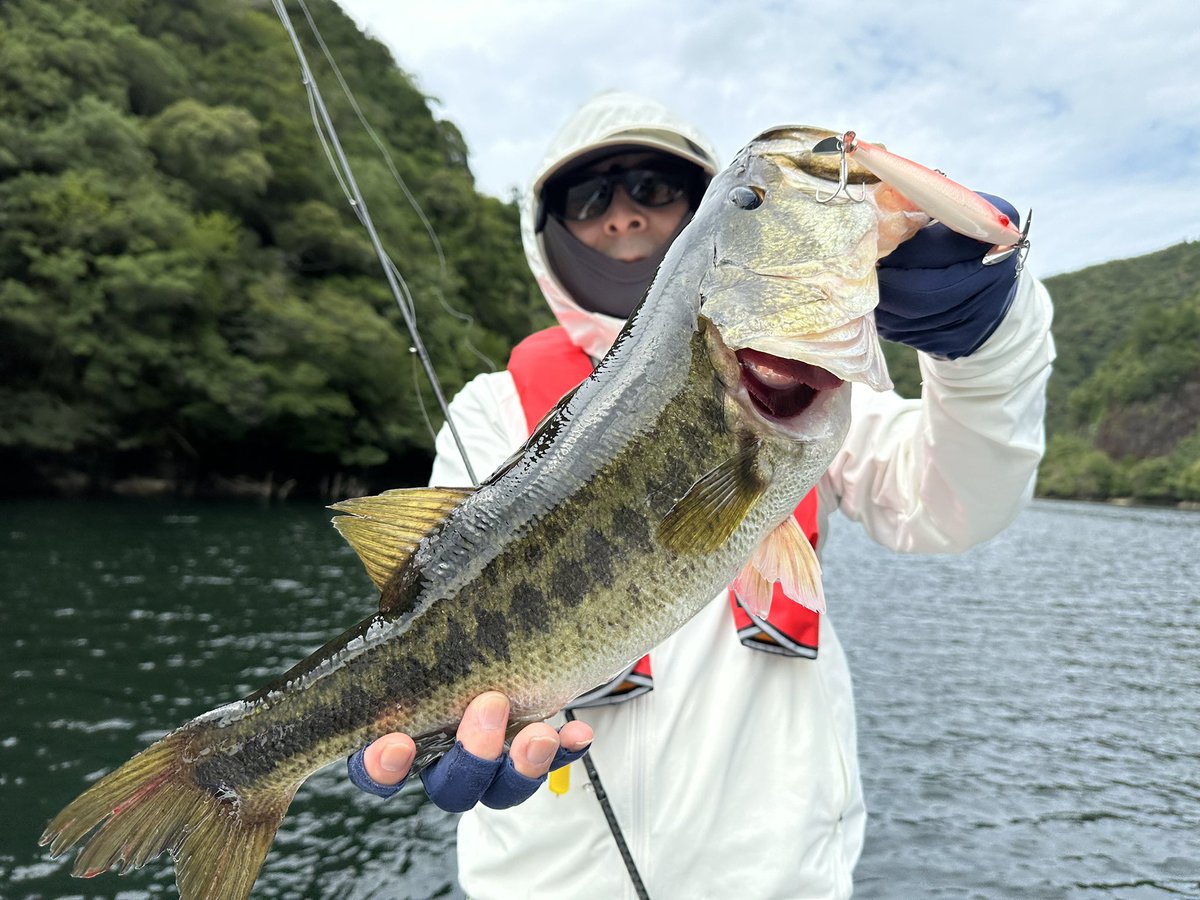 mira0320bass's tweet photo. ”MIRAGuideService”
お盆休み大賑わいの七色ダム🎣
8.9.10月ガイド日アップしてますのでお問い合わせお待ちしております‼️
https://t.co/43gIxGvt3x
#MIRAGuideService
#ミラガイドサービス https://t.co/vtjkTFBNFW