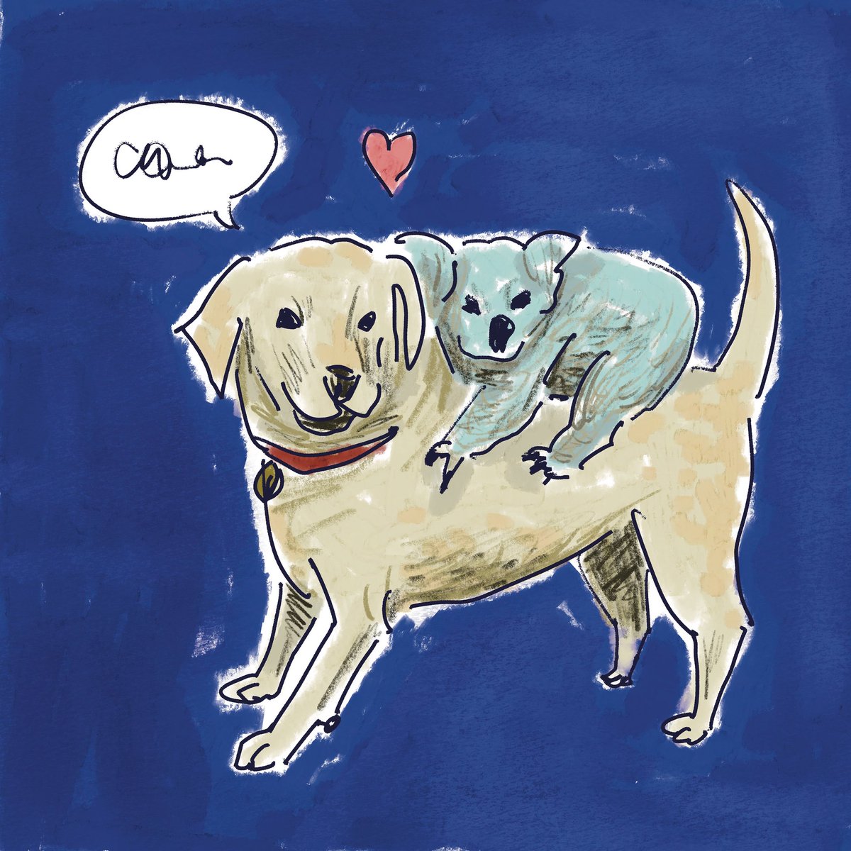 okay_1012's tweet photo. ー日々のことー
飼い犬が外から野生のお友達を連れてくる動画を観て涙が出てくるので、自分はホルモンバランスが崩れているんだと思います。 https://t.co/iNGcjuZCUE