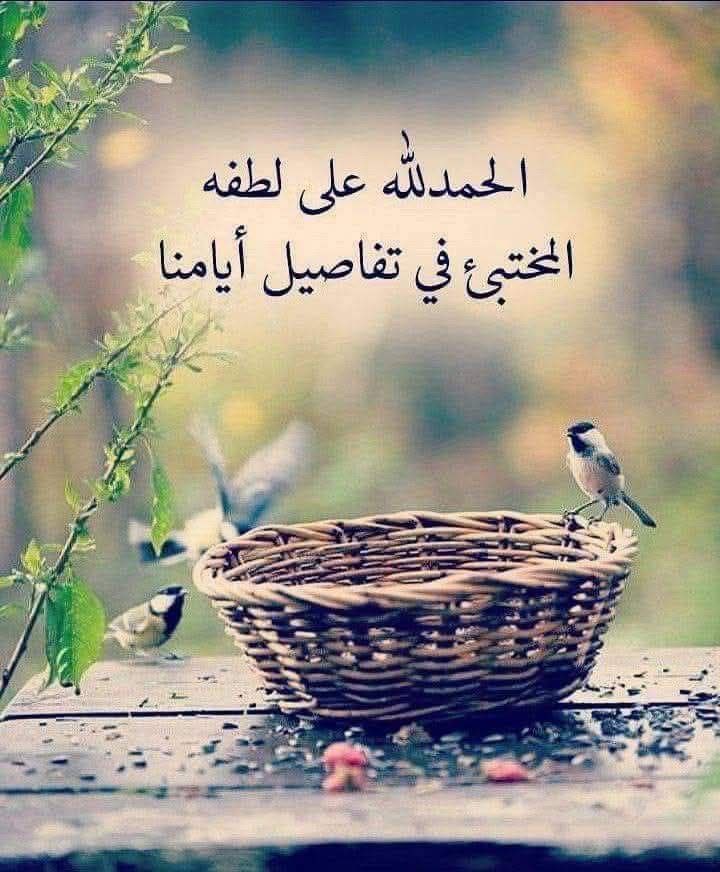 بعض الأرواح ضمادات بشرية ..
بسمتهم ، وجودهم ، تفاؤلهم ، تفهمهم ، تراحمهم ، تضيف إلى حياتنا الفرحة والأمل. طوبى لتلك الأرواح الجميلة..

أمل وأمنيات 🌹🤍