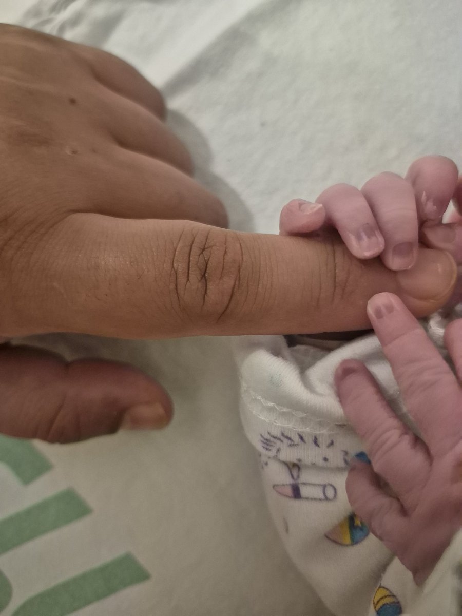 דביר עמר tweet media