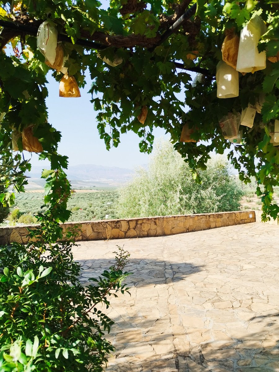 Sombras contra las calores.