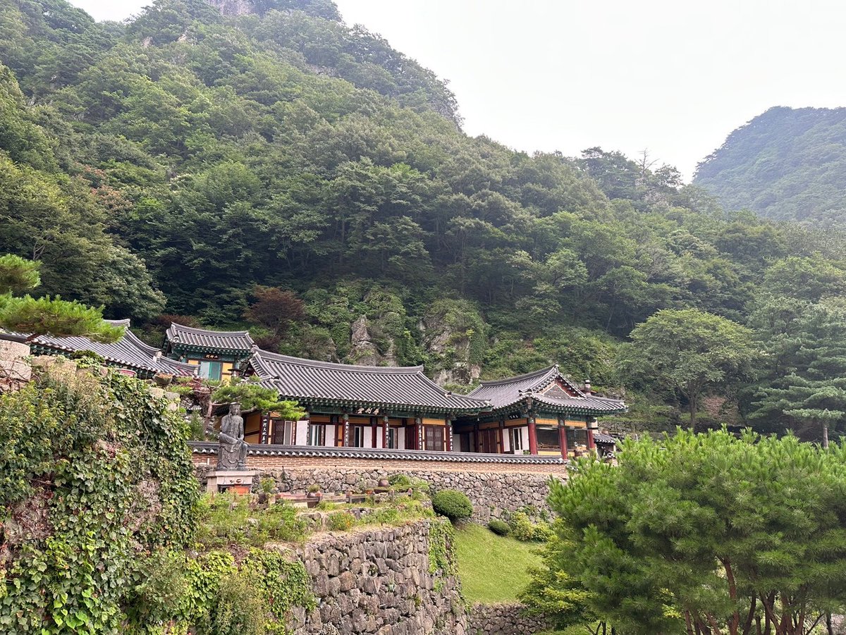 지난 토요일, 경북 봉화 청량사🍃
산속에 포근히 안긴 절이 이렇게나 고즈넉할 줄이야.
바람은 솔솔, 마음은 한결 가벼워진 하루.