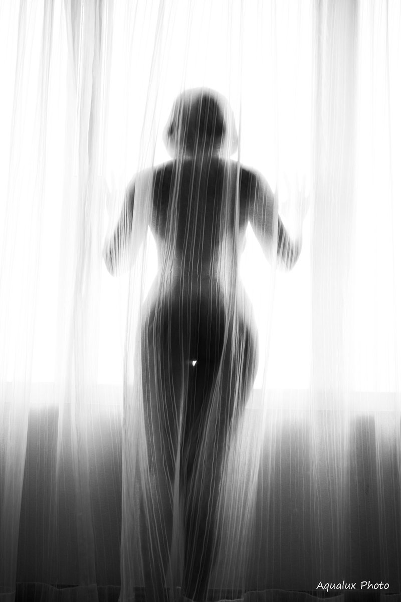 Aquaphilias- Waiting for your Customs !🌊🌊🦈🤿 ! tweet media