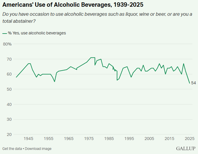 STEW 🇺🇸🐶 ⚾️ 🏝️ tweet media