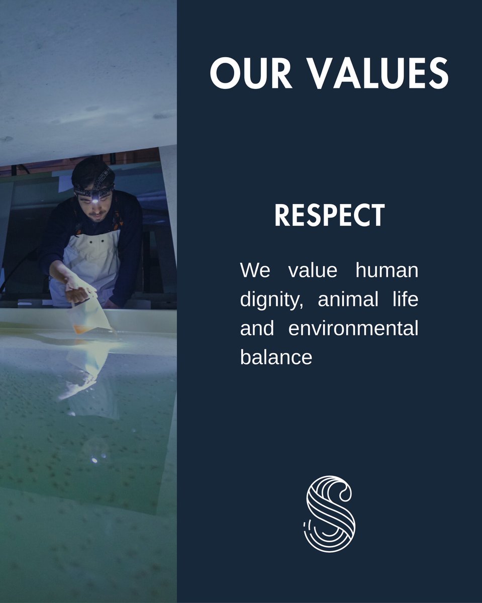 seaeightaqua's tweet image. Discover our values: Respect 🩵

At Sea Eight, we honor human dignity, animal life, and environmental balance. Respect guides how we work, care for our planet, and interact with every living being.

#WeAreSEAEIGHT #Respect #CorporateValues #Aquaculture