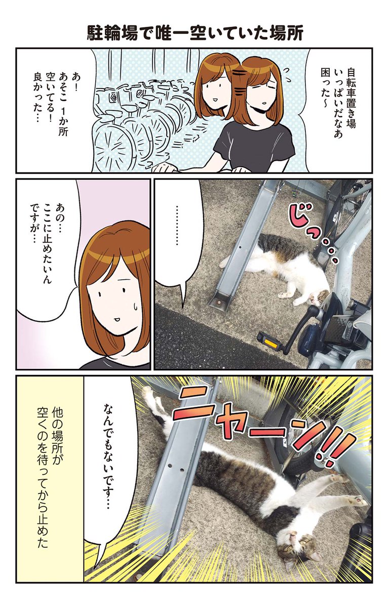 (4/5) 