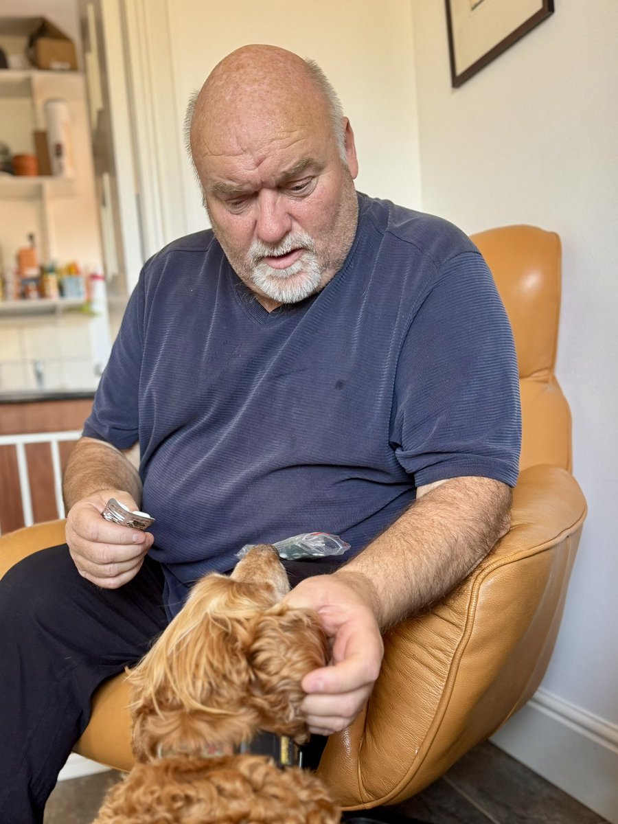 SpanielsSuper's tweet image. Are you doing #TabletQueue today dad?
No Bat these are my tablets not yours!
😐 oh….. No treat then?
I think I can find you something #SoftTouchDad