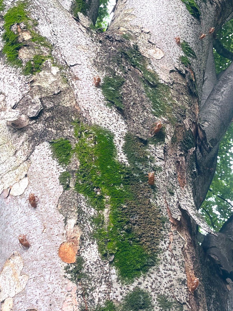 こみち@逃亡ｴﾓｰｼｮﾅﾙM3春う-39b tweet media