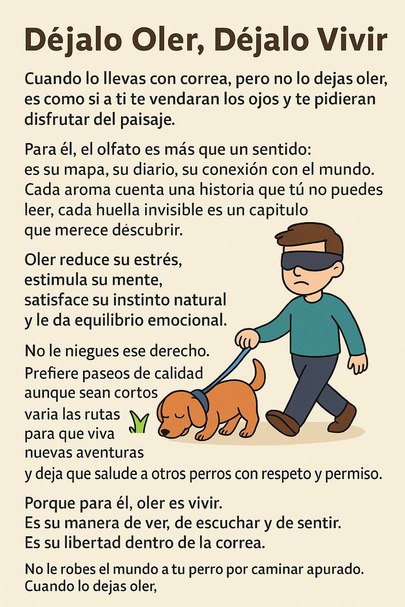 Déjalo Oler, Déjalo Vivir

Cuando lo llevas con correa, pero no lo dejas oler,
es como si a ti te vendaran los ojos y te pidieran disfrutar del paisaje.

Para él, el olfato es más que un sentido:
es su mapa, su diario, su conexión con el mundo.
Cada aroma cuenta una historia que
