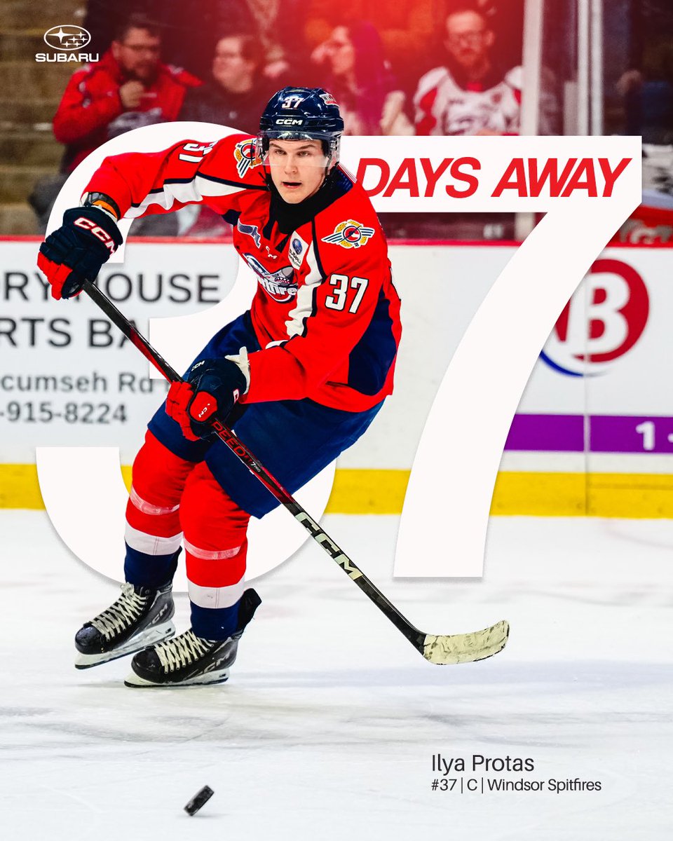 Puck drop ➡️ 37 Days!! 🏒

#WindsorSpitfires
<a href="/SubaruCanada/">Subaru Canada</a>