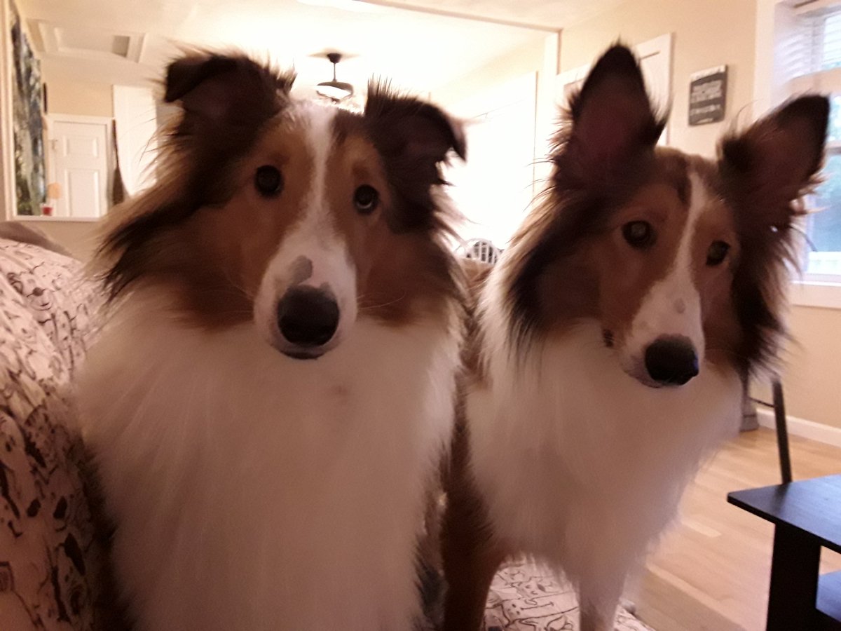 Good morning from Potter and Hazel