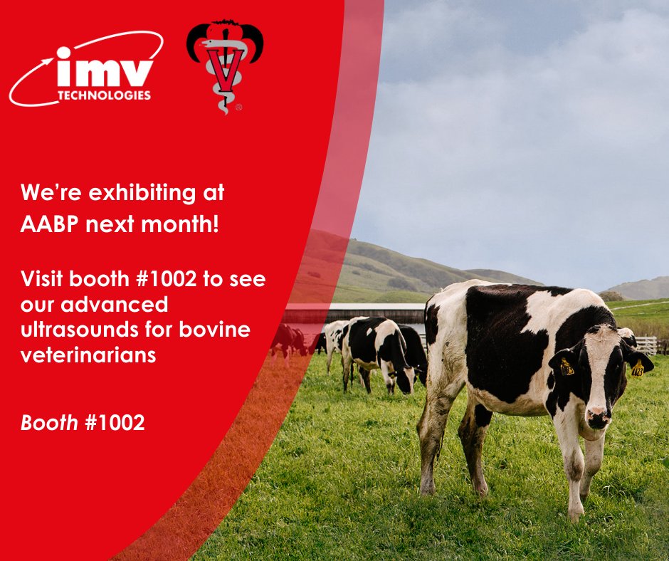 imvimagingNA's tweet photo. AABP - September 11-12 in Omaha, NE

Make sure you stop by our booth to check our bovine products and services along with receiving a free giveaway.

Hope to see you there! https://t.co/iR0b6f96nI