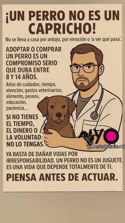 AlmasDeLaCalle's tweet photo. La responsabilidad del Amor

No adoptes por llenar un vacío que no sabes cuidar.
Un perro no es una pausa en tu soledad,
es un capítulo completo que exige amor, constancia y verdad.

No es un accesorio para tus días felices
ni un entretenimiento para tus tardes vacías.
Es un ser que aprenderá a esperarte,
a leerte con los ojos,
a sentir tu tristeza antes de que hables.

Cada vez que su plato esté vacío,
esperará que seas tú quien lo llene.
Cada vez que tiemble por miedo,
esperará que seas tú quien lo abrace.
Y cuando su cuerpo envejezca,
esperará que seas tú quien no lo abandone.

Si no puedes prometerle todo eso,
no le robes el derecho de encontrar a quien sí pueda.

Porque un perro no pide lujo,
solo pide que seas su hogar hasta el último latido.

Prometerle la vida es cumplirla entera.