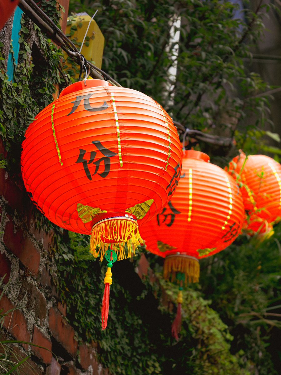 台湾に行ってきました。
大学1、2年で中国語の授業を履修したはずなのに、ほぼ理解できませんでした。

言葉の壁に圧倒される感じが懐かしいのと同時に、現地の方々の優しさに触れました🥹

次はより理解できるように、中国語の勉強も併せて頑張りたいと思いました🫡