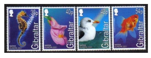 CyprusStamps's tweet photo. #CyprusStamps #NorthCyprusStamps #TRNC and a sneaky #Gibraltar offering of #philately #stampcollecting #postagestamps #firstdaycovers #FDCs
#Wednesday #Water and #thematics
1) Gibraltar
2) North Cyprus TRNC
3) Cyprus
4) North Cyprus TRNC https://t.co/RLSz54fHhW