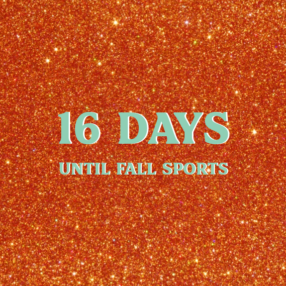 #D3MIAA Sports tweet media