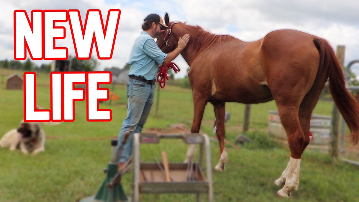 All new episode is out: youtu.be/liMo7kH6HGM