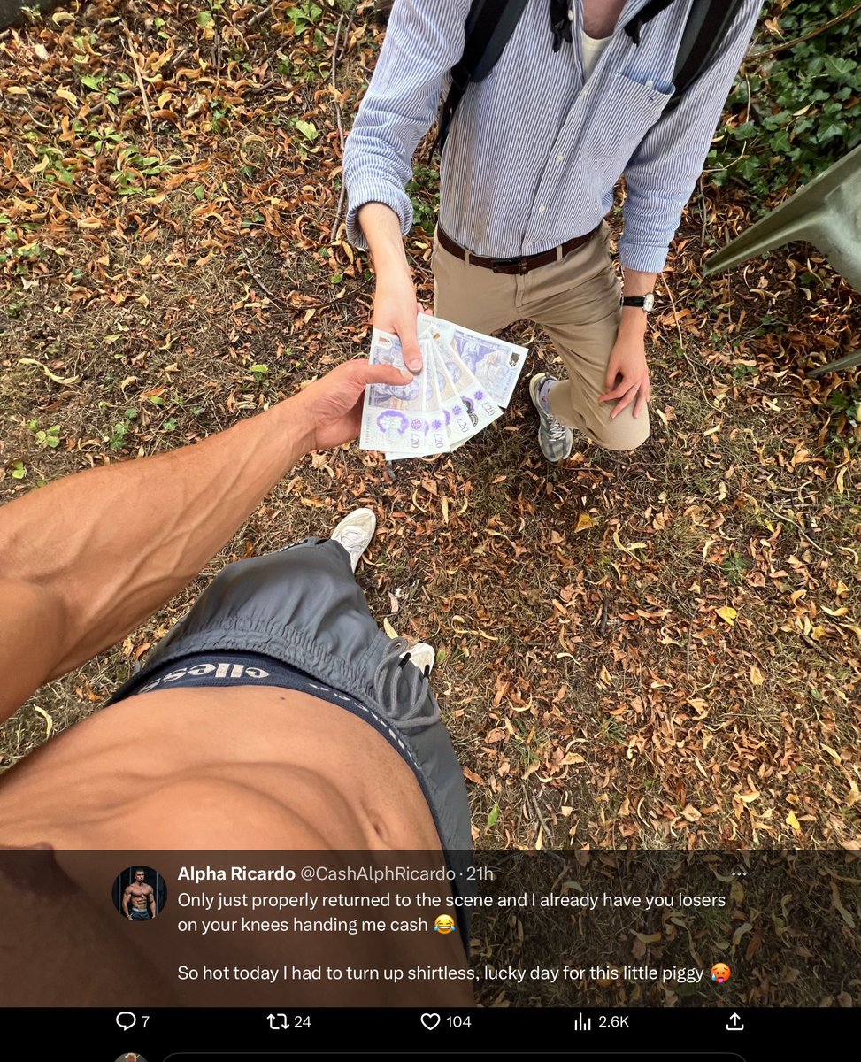 RED PILL HQMO tweet media