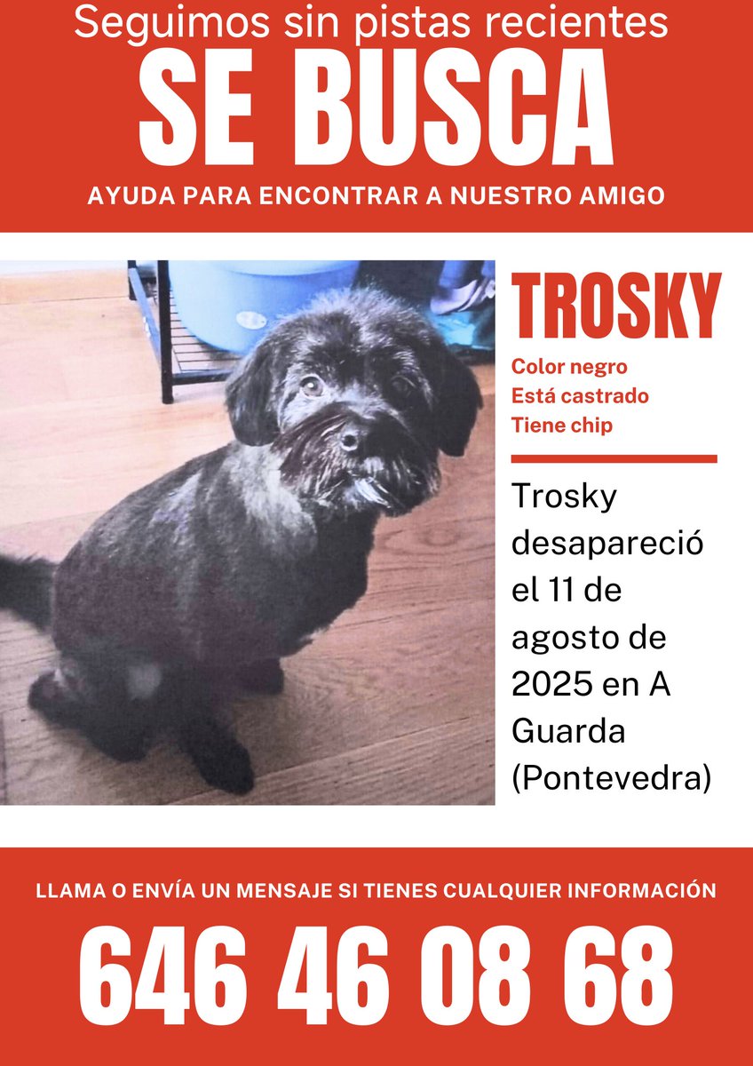 maitealvite's tweet photo. Perro perdido en #aguarda #perroperdido #SeBusca #mascotaperdida #perrosperdidos #laguardia #baixomiño #baixominho #valmiñor #ayuda #sosmascotas https://t.co/QiHH59fL3y