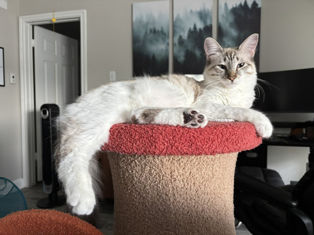 cait 🪩 tweet media