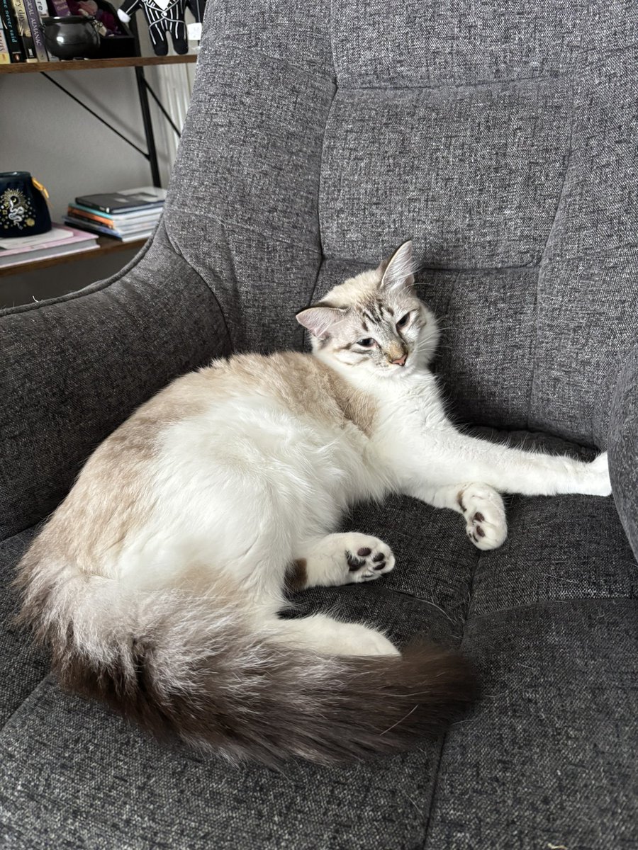 cait 🪩 tweet media