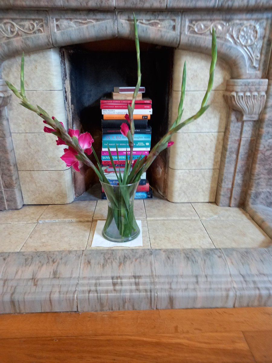 Never bought gladioli before (considerably taller before arranging in the vase)