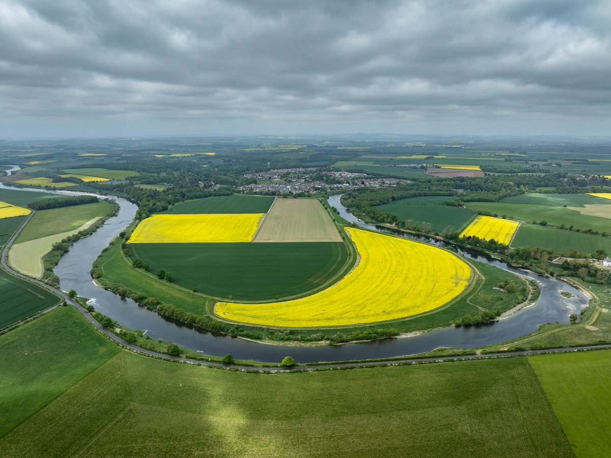 Destination Tweed UK (@desttweeduk) on Twitter photo 📸From high above, the river is a silvery thread weaving its way through lush green woodland and bright yellow fields. Patchwork fields disappear into endless clouds. ☁
Share your Tweed Moment with us using #destinationtweeduk 💙
#tweedmoment #rivertweed #daysoutUK 📸From high above, the river is a silvery thread weaving its way through lush green woodland and bright yellow fields. Patchwork fields disappear into endless clouds. ☁
Share your Tweed Moment with us using #destinationtweeduk 💙
#tweedmoment #rivertweed #daysoutUK