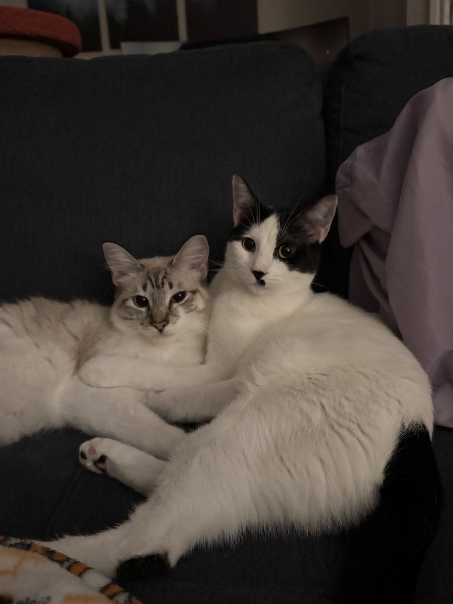 cait 🪩 tweet media