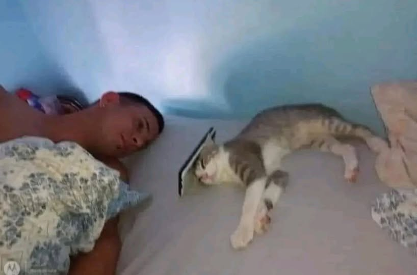 yo: No puedo, tengo planes

Los planes: