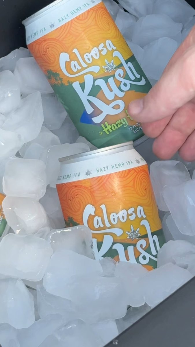 CaloosaBev's tweet photo. Cooler stocked, vibes locked. 🌴

#IPAbeer #BeerOClock #DrinkLocal #BeerStagram #Beer https://t.co/OfoMxZOMWr