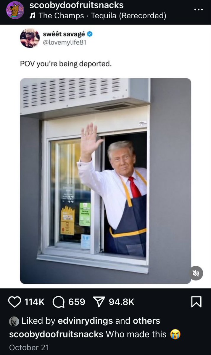 waackeryibo's tweet photo. Yes Edvin Ryding is xenophobic and racist like the true Trumpie he is ❤️❤️❤️
#YoungRoyals #28YearsLater #TheHungerGames #Wilmon #PrinceWilhelm https://t.co/fh6r8uB2uE
