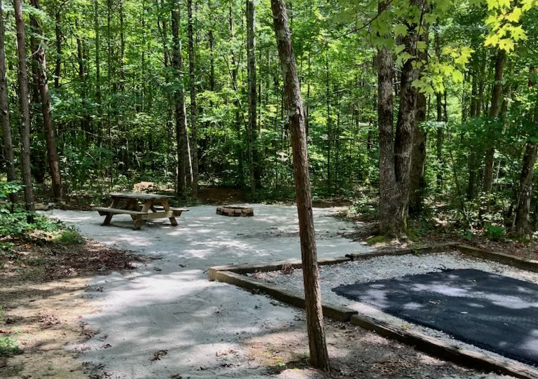 GreeterFalls's tweet photo. Newly Renovated RV sites and Common Areas. Come, camp at Greeter Falls Campground and feel the difference. https://t.co/Z0vHj0v8S2